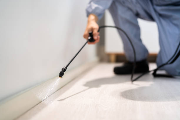 Licensed Termite Control service in Minneapolis, MN - Nex Pest Control