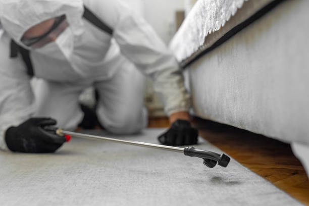Professional Termite Control technician working in Minneapolis, MN