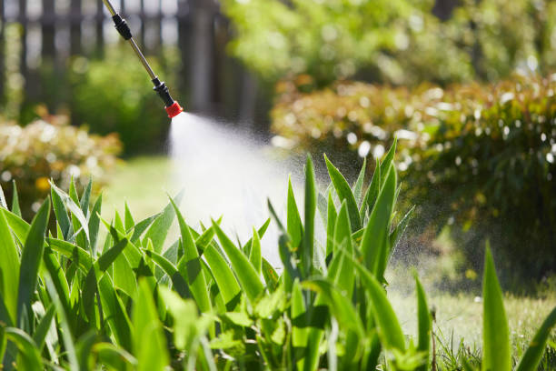 24/7 Emergency Termite Control experts in Minneapolis, MN