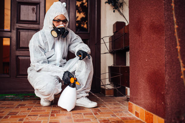 Reliable Termite Control contractor in Minneapolis, MN by Nex Pest Control